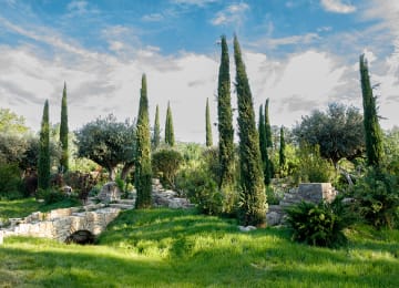 Domaine de Chaumont-sur-Loire