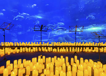 AquaRio