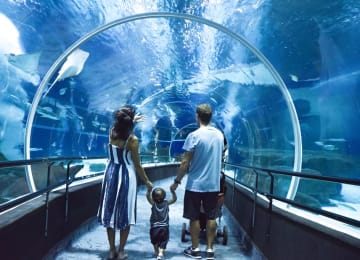 AquaRio