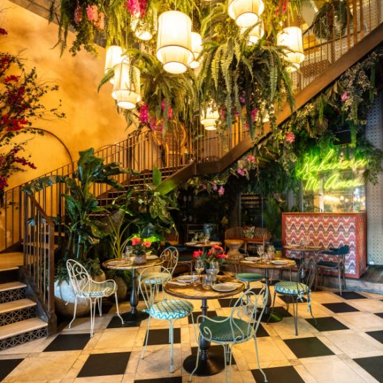 An image for the event Menú en Habanera, junto a Plaza de Colón