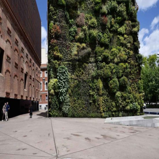 An image for the event Visita guiada privada al CaixaForum Madrid con entradas