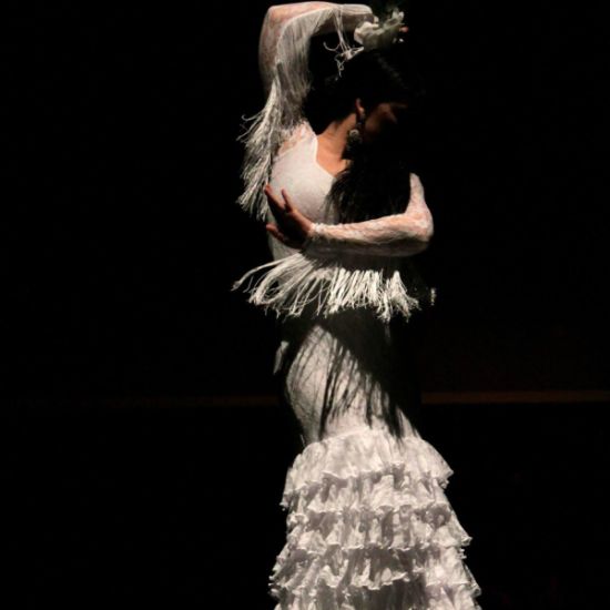 An image for the event Tablao Opera Flamenca