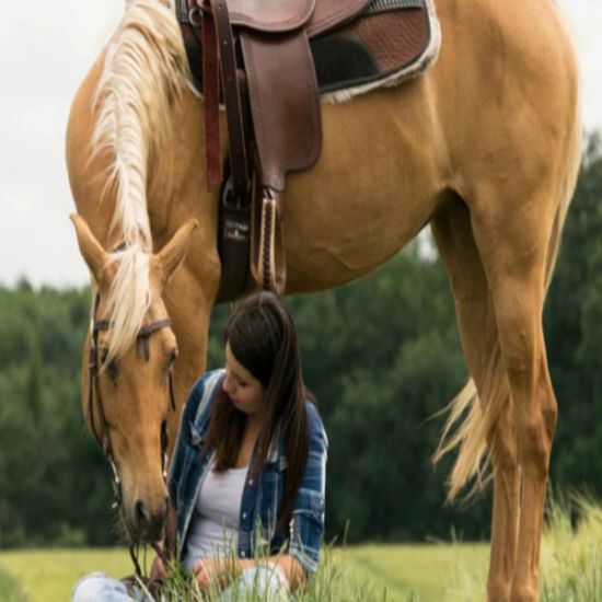 An image for the event Madrid: experiencia a caballo por la Sierra de Guadarrama