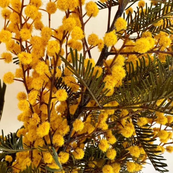 An image for the event Taller de coronas con mimosas