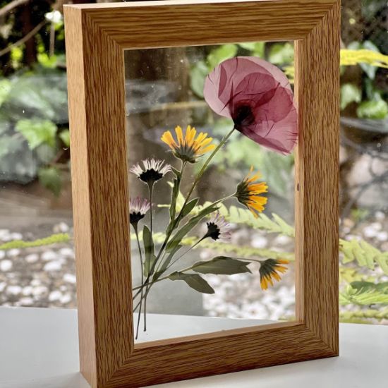 An image for the event Taller de técnica de prensado y creación de herbarios botánicos