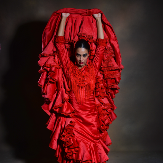 An image for the event Inspiración - Show flamenco en Teatro Flamenco Barcelona
