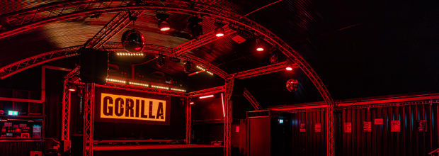 Gorilla Manchester