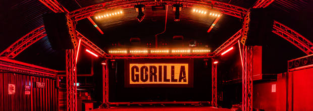 Gorilla Manchester