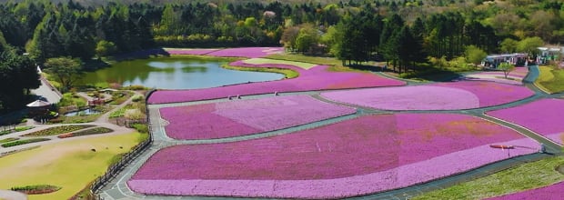 富士本栖湖リゾート