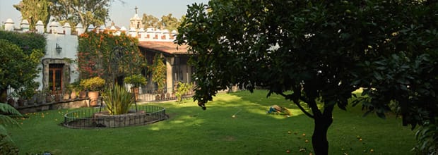 Museo Dolores Olmedo