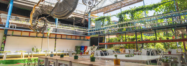 Bangalore Creative Circus