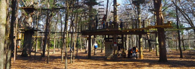 Trinity Forest Adventure Park
