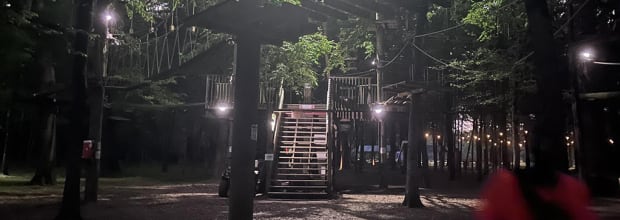 Trinity Forest Adventure Park