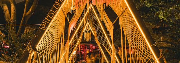 Palapa