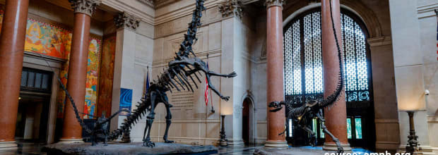 American Museum of Natural History (AMNH)