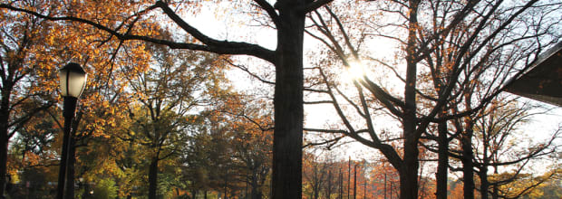 Queens Botanical Garden