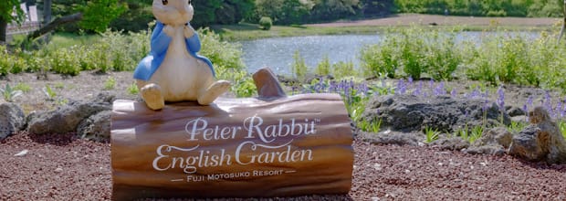 Fuji Motosuko Resort