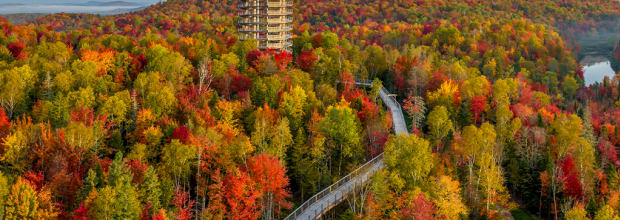 Sentier des cimes Laurentides