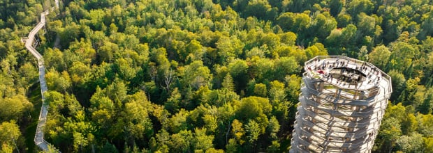 Sentier des cimes Laurentides