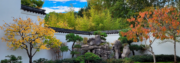 Seattle Chinese Garden