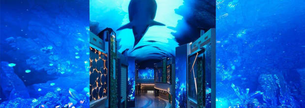 인스파이어 엔터테인먼트 리조트 (INSPIRE Entertainment Resort)