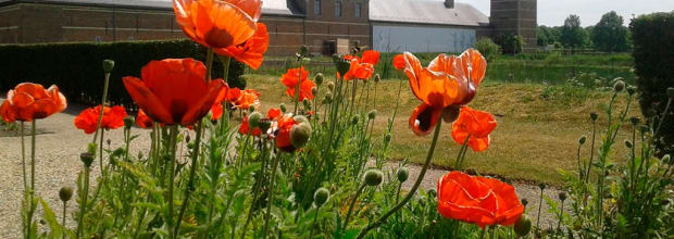 Abdijsite Herkenrode