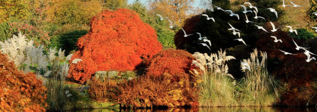 Kew Wakehurst