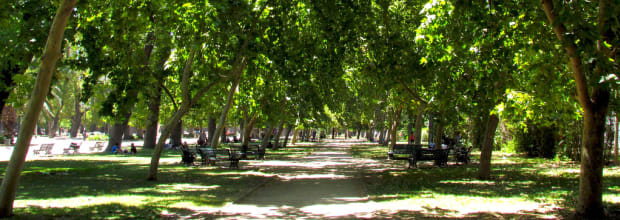 Parque Quinta Normal