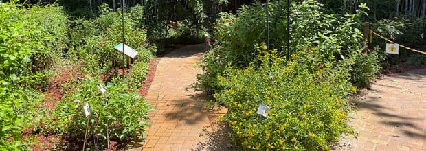 Chase Sanctuary and Wildlife Conservancy, 501-C(3)