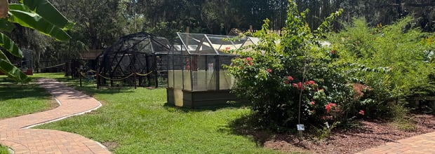 Chase Sanctuary and Wildlife Conservancy, 501-C(3)