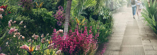 Royal Botanic Gardens