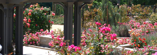 South Coast Botanic Garden