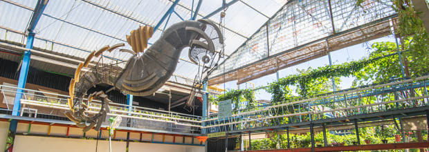 Bangalore Creative Circus