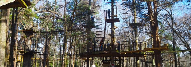 Trinity Forest Adventure Park