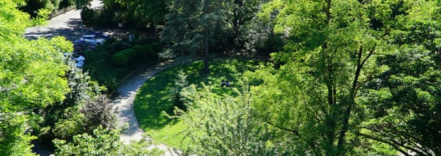 Jardin des Plantes de Montauban