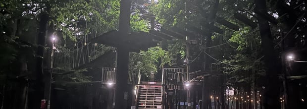 Trinity Forest Adventure Park
