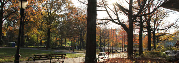 Queens Botanical Garden
