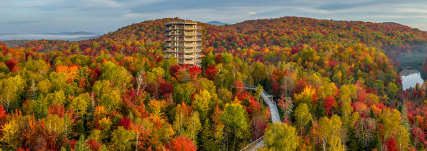 Sentier des cimes Laurentides