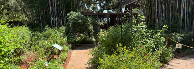 Chase Sanctuary and Wildlife Conservancy, 501-C(3)