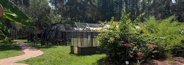 Chase Sanctuary and Wildlife Conservancy, 501-C(3)