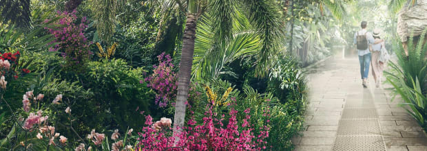 Royal Botanic Gardens