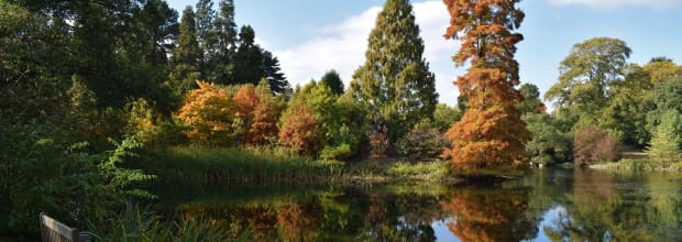 Royal Botanic Gardens