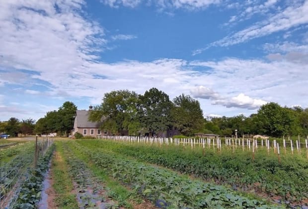 Queens County Farm Museum
