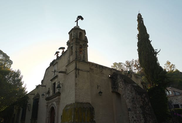 Museo Dolores Olmedo