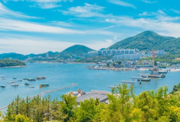 예술의 섬 장도