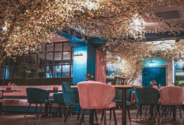 MUSE Brasserie - Bristol
