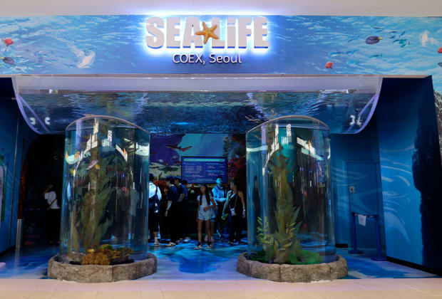 씨라이프 코엑스 아쿠아리움 (SEA LIFE COEX, Seoul Aquarium)