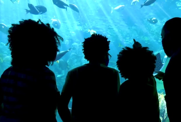 Aquarium of the Pacific