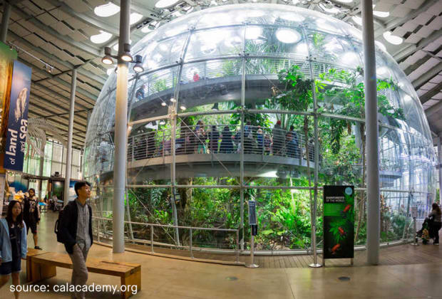 California Academy of Sciences