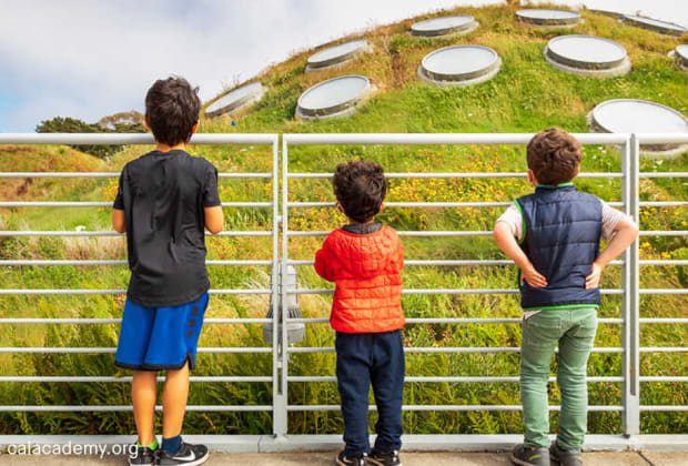 California Academy of Sciences